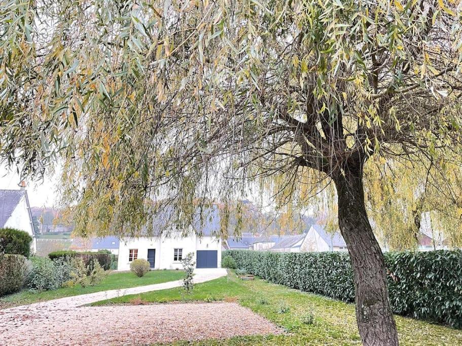 Havre De Paix Spa Proche Amboise & Chateaux De La Loire Noizay Bagian luar foto
